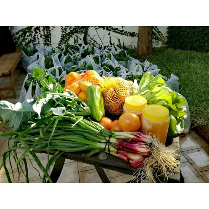 Del pueblo y para el pueblo: frutas y verduras de los productores a tu casa